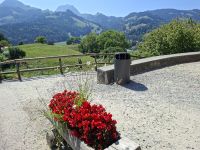 Gruyère-Rundblick am Stadteingang