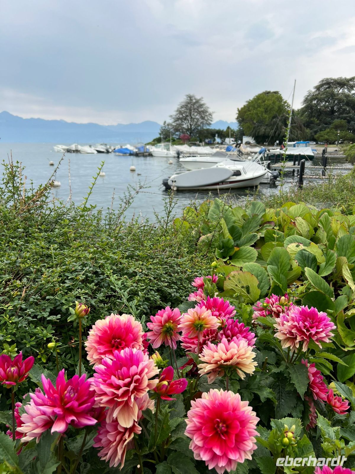 Genfersee-Uferpromenade