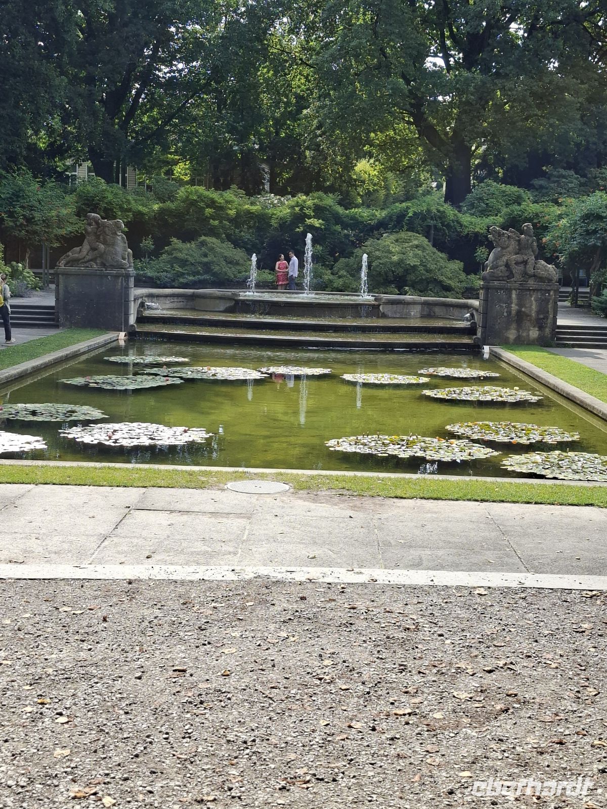 Im Rosengarten von Bern