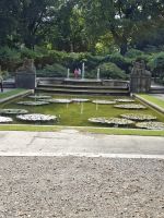 Im Rosengarten von Bern