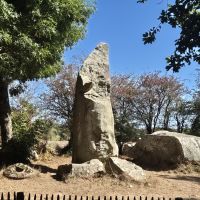 17 Steinfeld Kerzerho bei Erdeven.jpg