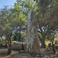 18 Steinfeld Kerzerho bei Erdeven.jpg