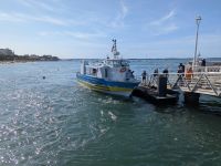 36. Bootsfahrt auf dem Bassin d''Arcachon.jpg