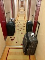 Flusskreuzfahrt auf der Rhone - A-Rosa Stella