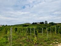 Flusskreuzfahrt auf der Rhone - Tain-l‘Hermitage