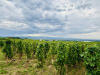 Flusskreuzfahrt auf der Rhone - Tain-l‘Hermitage