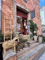 Flusskreuzfahrt auf der Rhone - Roussillon