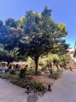 Flusskreuzfahrt auf der Rhone - Arles