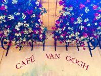 Flusskreuzfahrt auf der Rhone - Arles