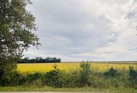 Flusskreuzfahrt auf der Rhone - Camargue 