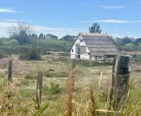 Flusskreuzfahrt auf der Rhone - Camargue 