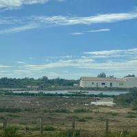 Flusskreuzfahrt auf der Rhone - Camargue 