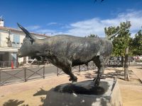 Flusskreuzfahrt auf der Rhone - Saintes-Maries-de-la-Mer