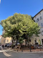 Flusskreuzfahrt auf der Rhone - Marseille 