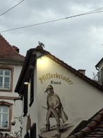 Elsässischer Sprachgebrauch  