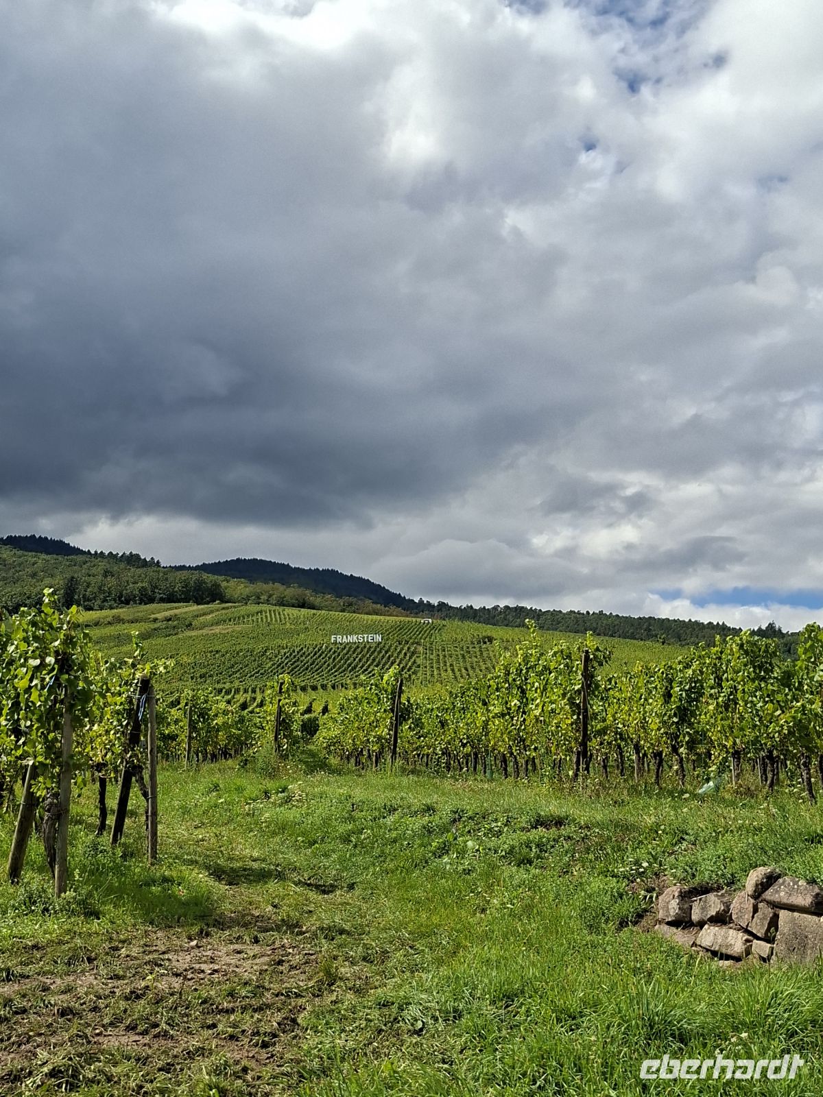Weingut Ruhlmann