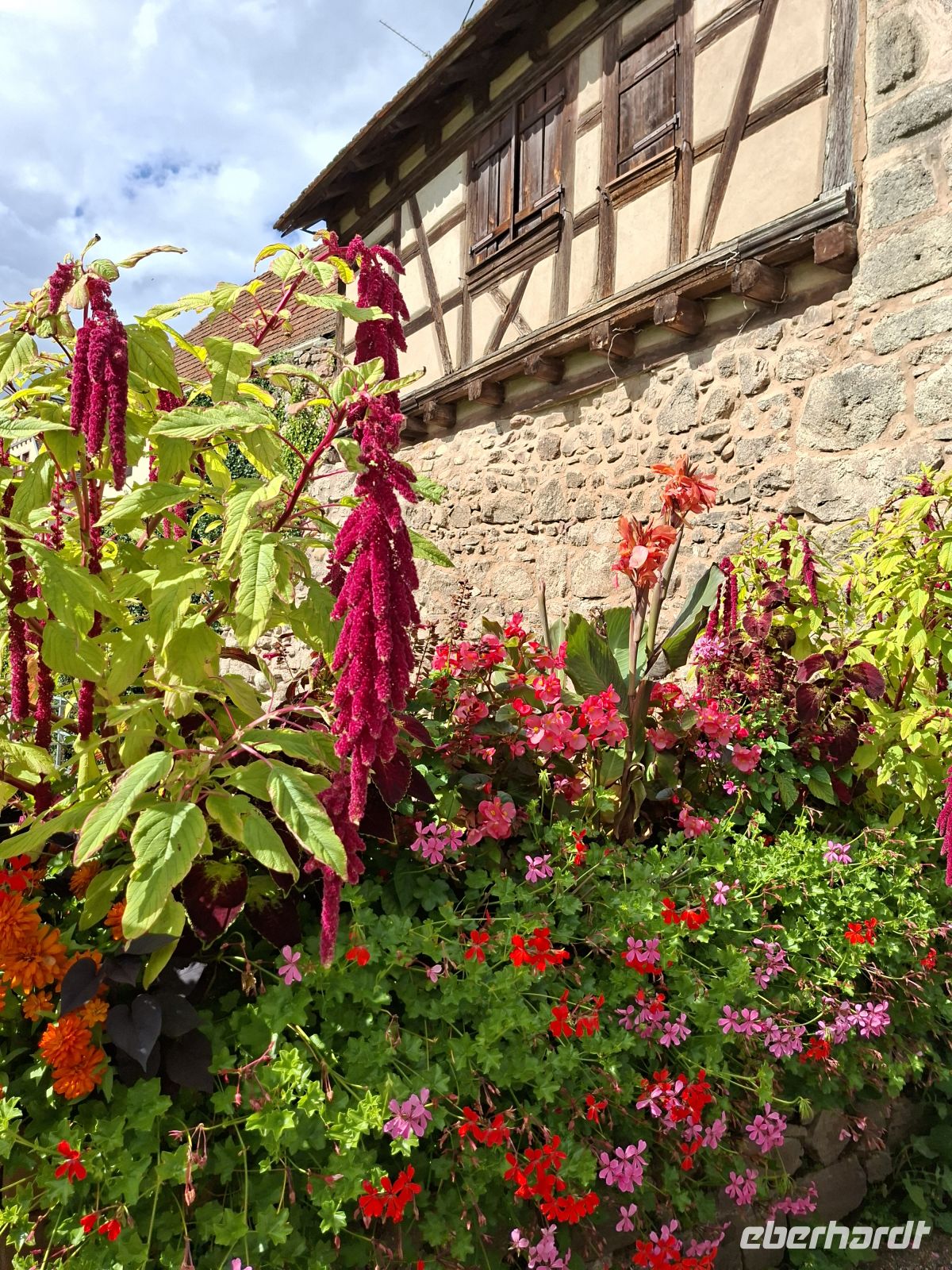 Dambach-la-Ville -Ortskern