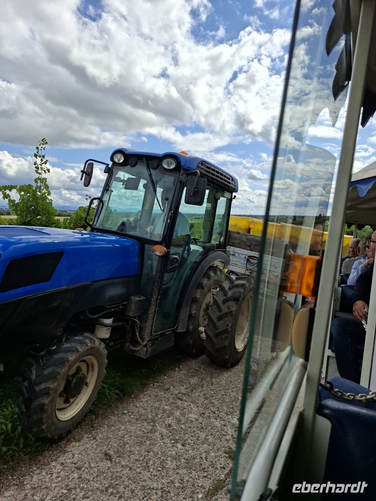 Weinernte - Einsammlung gefüllter Weinstiegen