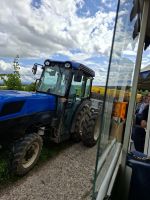 Weinernte - Einsammlung gefüllter Weinstiegen