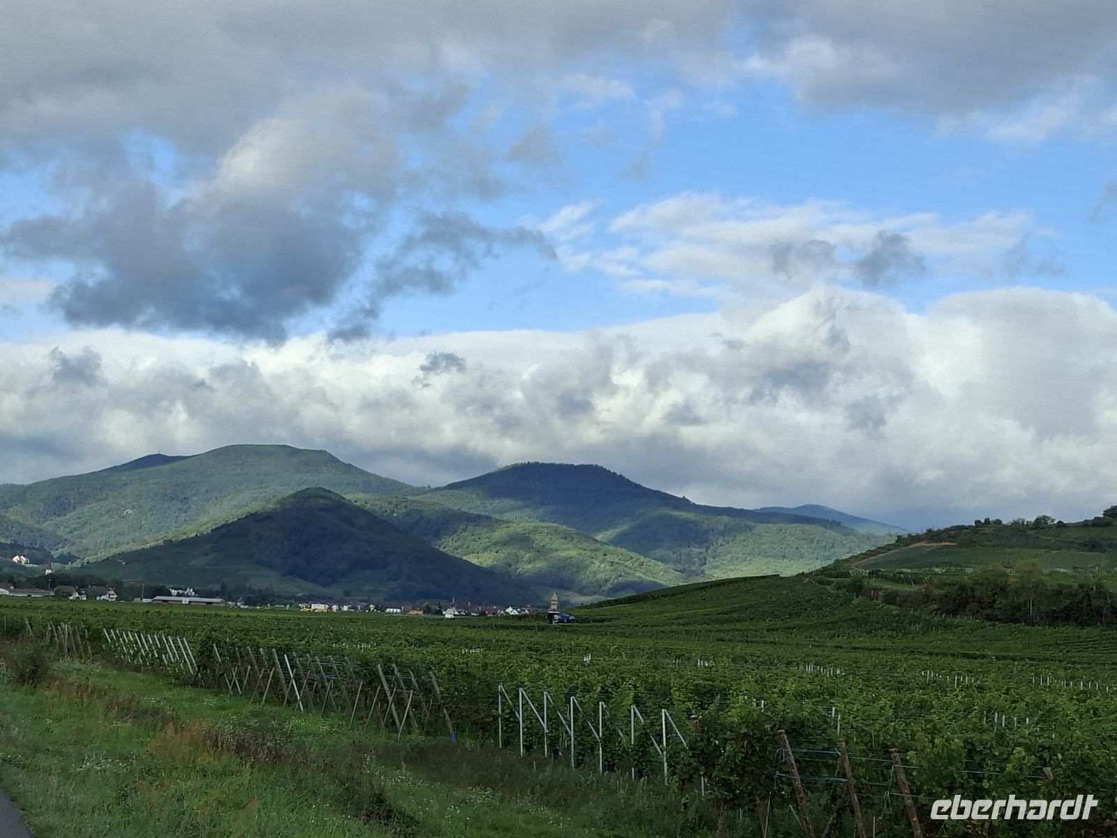 Vogesen - Sonnenschattierung der Weinberge