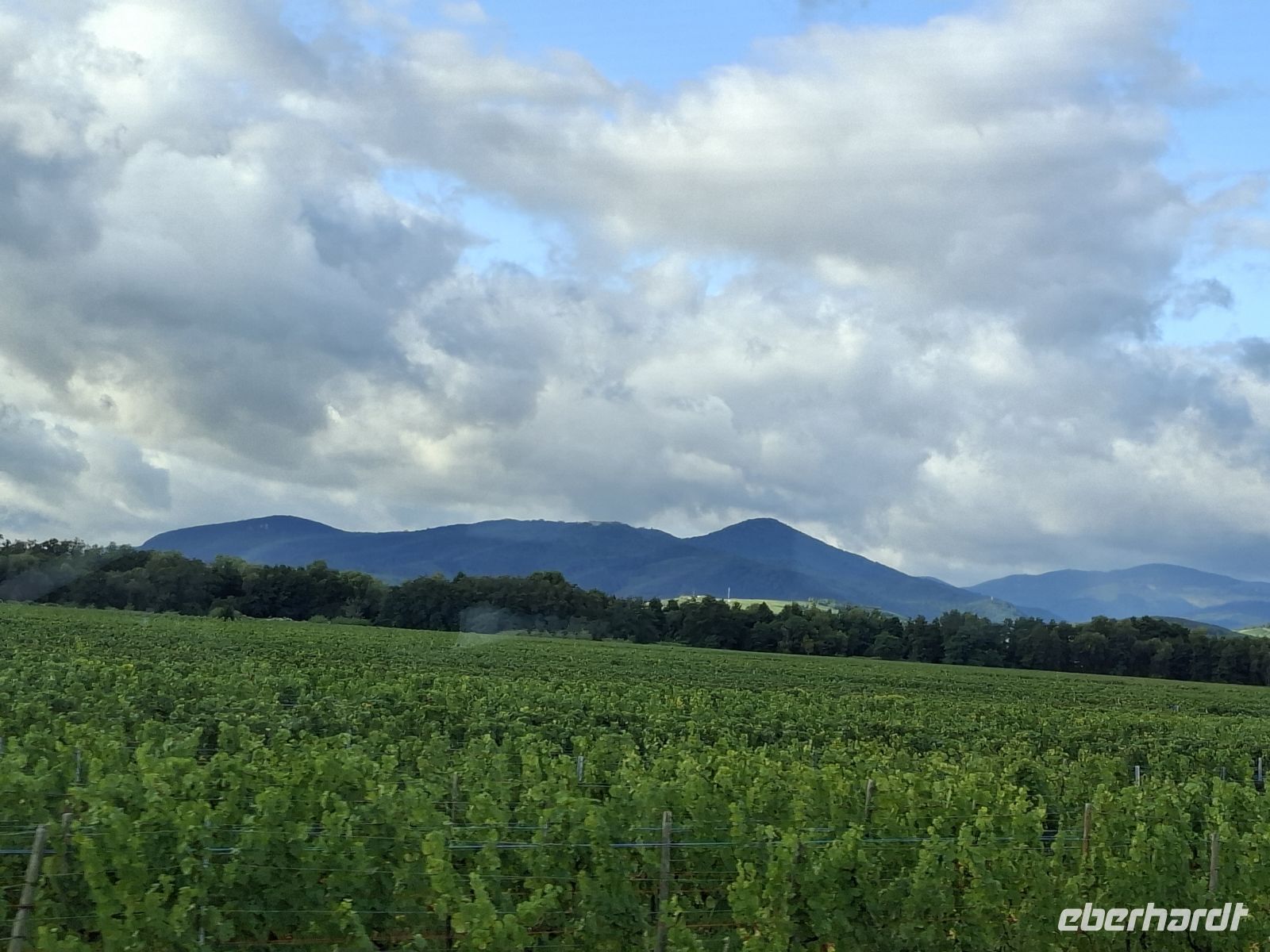 Bergrücken der Vogesen