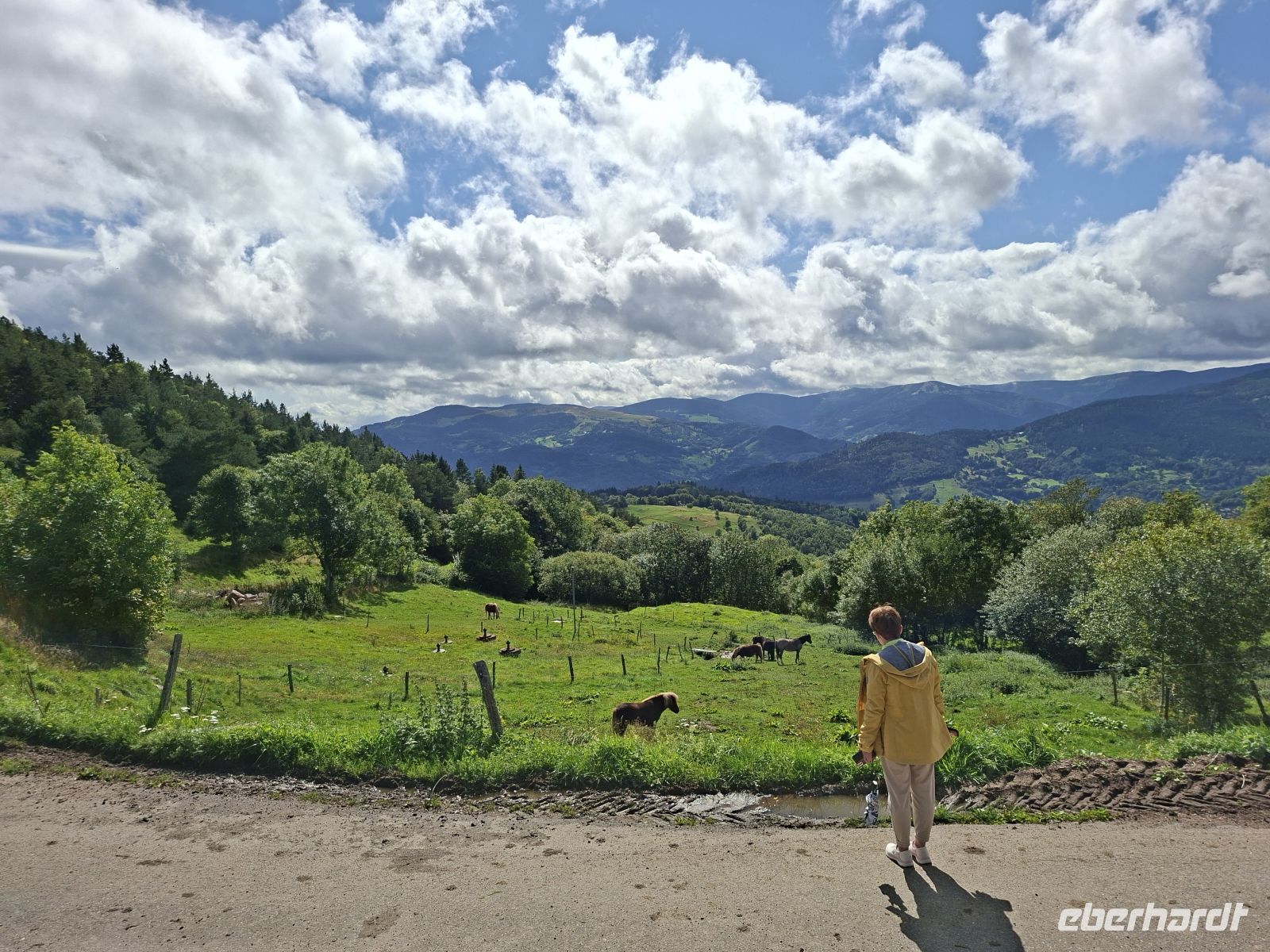 Vogesen -Blick ins Tal