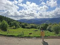 Vogesen -Blick ins Tal