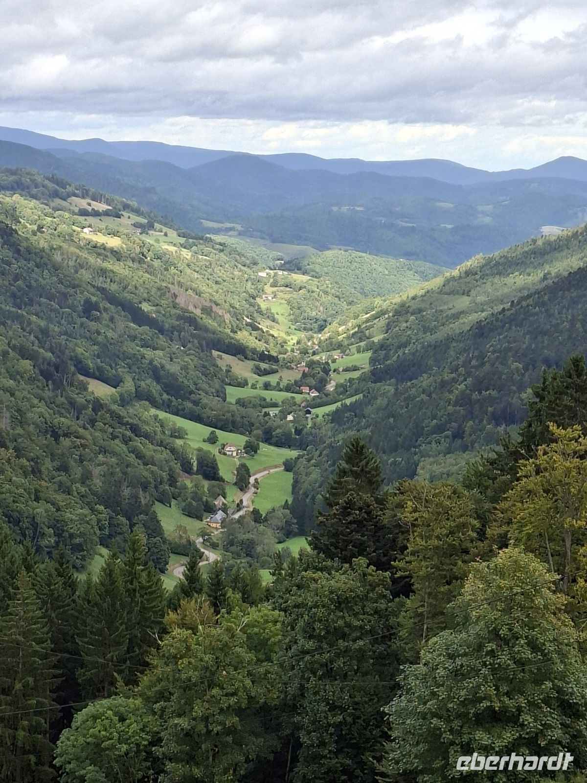Hochvogesen -Talblick