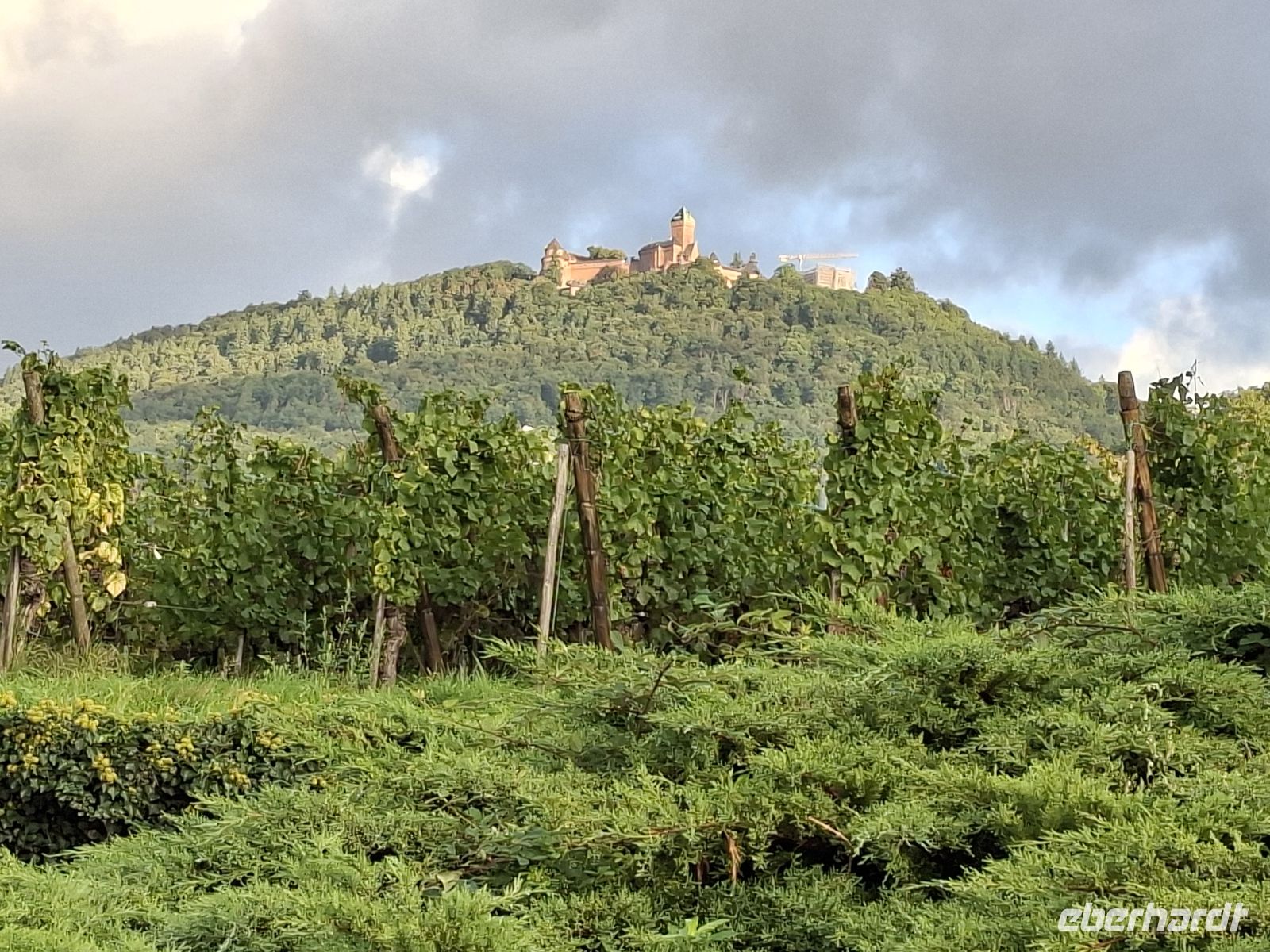 Abschiedsfoto von der Hohkönigsburg über dem Hotel