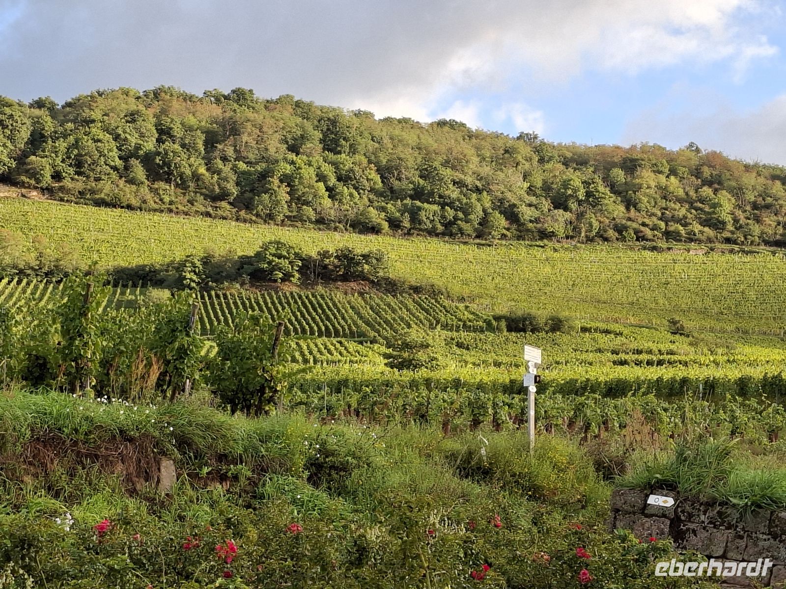 Das hoteleigene Weingut