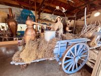 Flusskreuzfahrt auf der Rhone - Lavendelmuseum