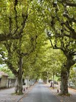 Flusskreuzfahrt auf der Rhone - Viviers