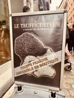 Flusskreuzfahrt auf der Rhone - Lyon