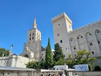 Kathedrale von Avignon 