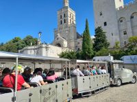 Mit dem Petit-Train durch Avignon