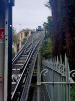 kostenloser Transport in Pau