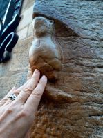 Streicheln der Eule bringt Glück aber nur mit links