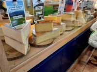 Käseauswahl in der Markthalle von Dijon 