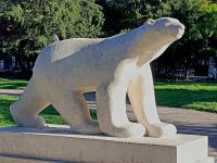 berühmter Art Deco Eisbär in Dijon