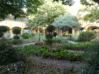 Espace Van Gogh in Arles 