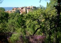 Blick auf die Altstadt und Roussillon