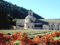 Kloster Senanque im September 