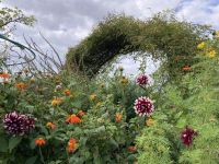 im Garten von Claude Monet