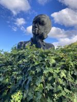 Bonjour Tristesse...