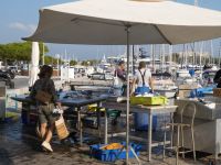 Frischer Fisch in Antibes 