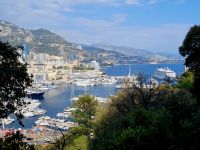 Hafen von Monaco