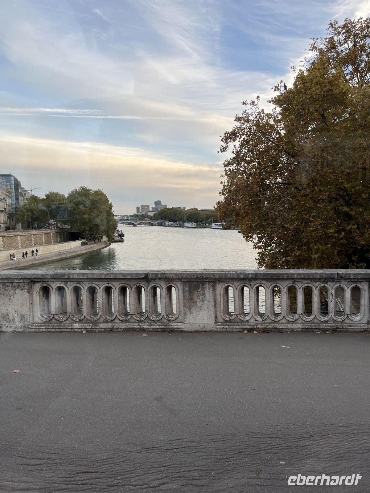 letzter Blick auf die Seine von der Pont Alexandre III