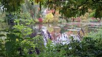 Monets berühmter Seerosenteich in Giverny
