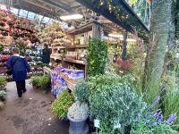 Klassisches Paris - Bummel Île de la Cité