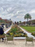 Jardin du Luxembourg mit Stühlen